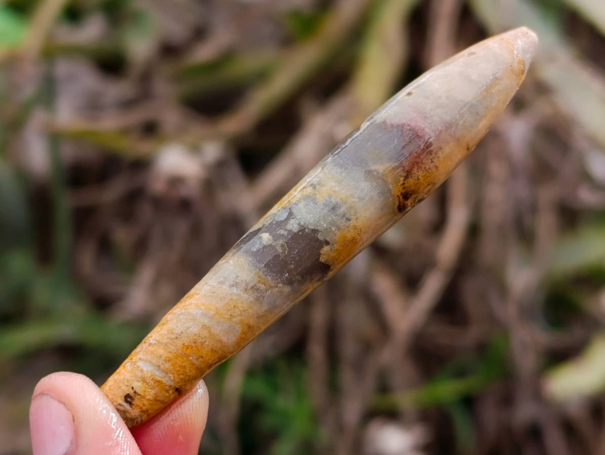 Natural Belimnite Fossils x 1 Lot, From Maintiarano, Madagascar - Toprock Gemstones and Minerals 