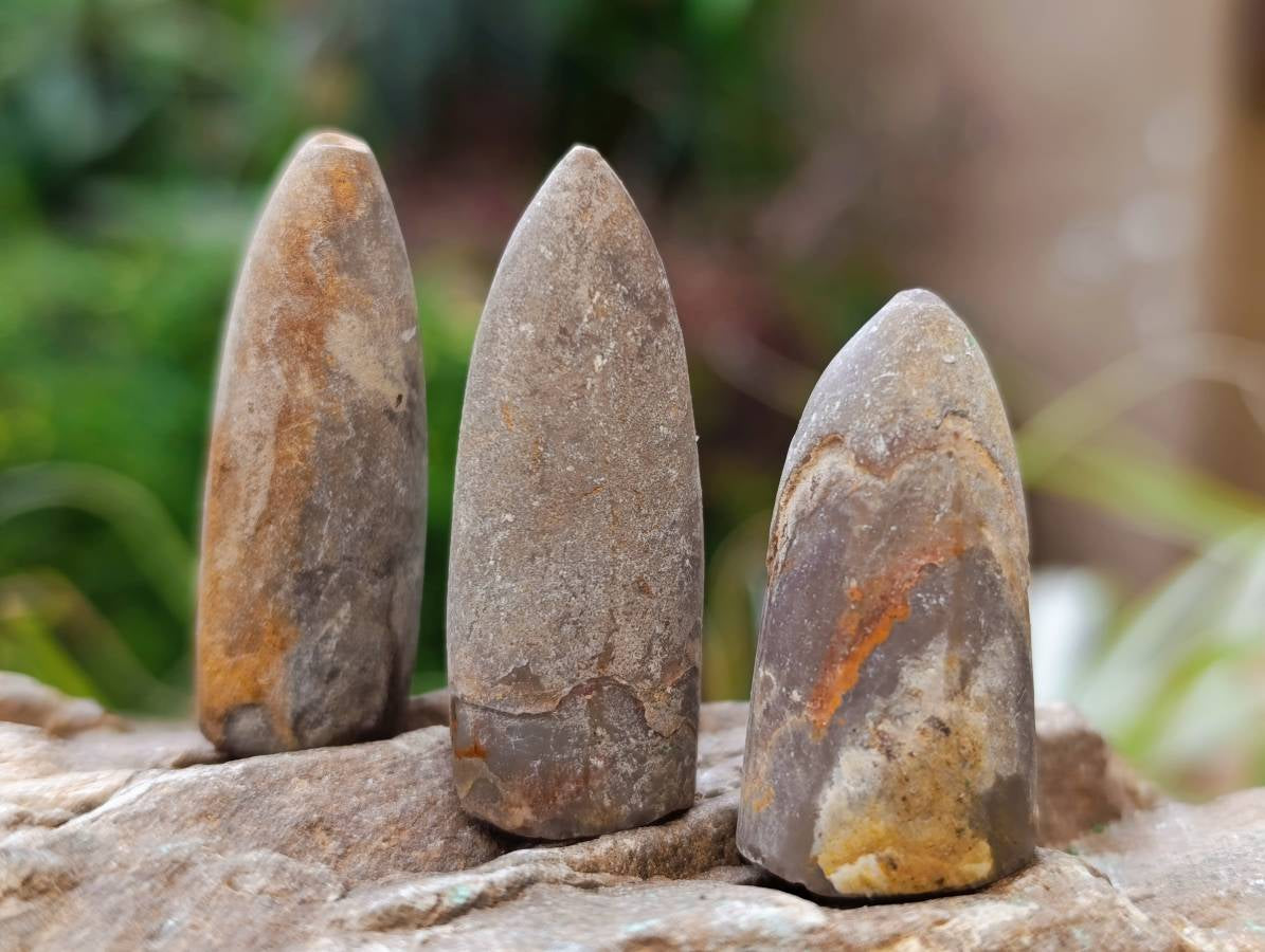 Natural Belimnite Fossils x 1 Lot, From Maintiarano, Madagascar - Toprock Gemstones and Minerals 