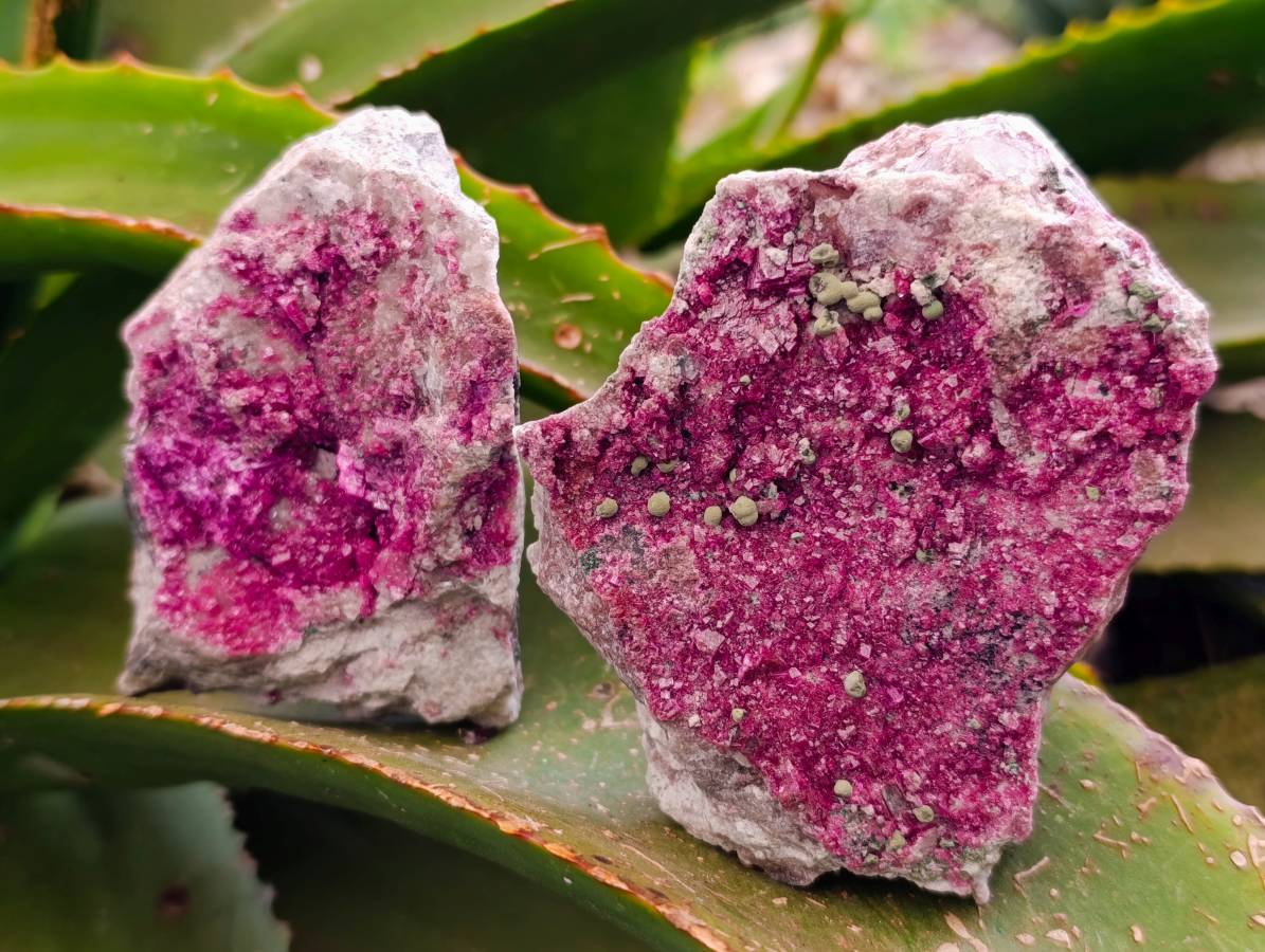 Natural Salrose Cobaltion Dolomite with Malachite Specimens x 6 From Kakanda, Congo - Toprock Gemstones and Minerals 