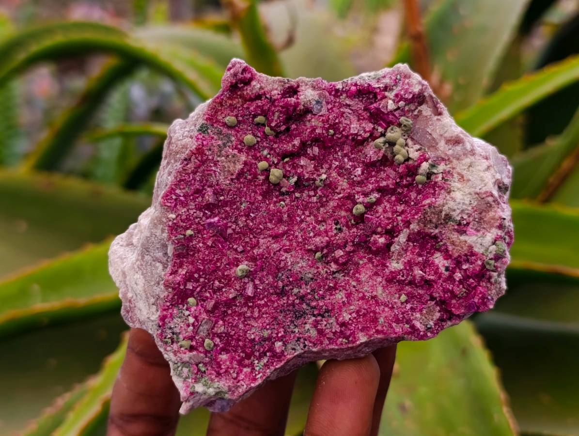 Natural Salrose Cobaltion Dolomite with Malachite Specimens x 6 From Kakanda, Congo - Toprock Gemstones and Minerals 