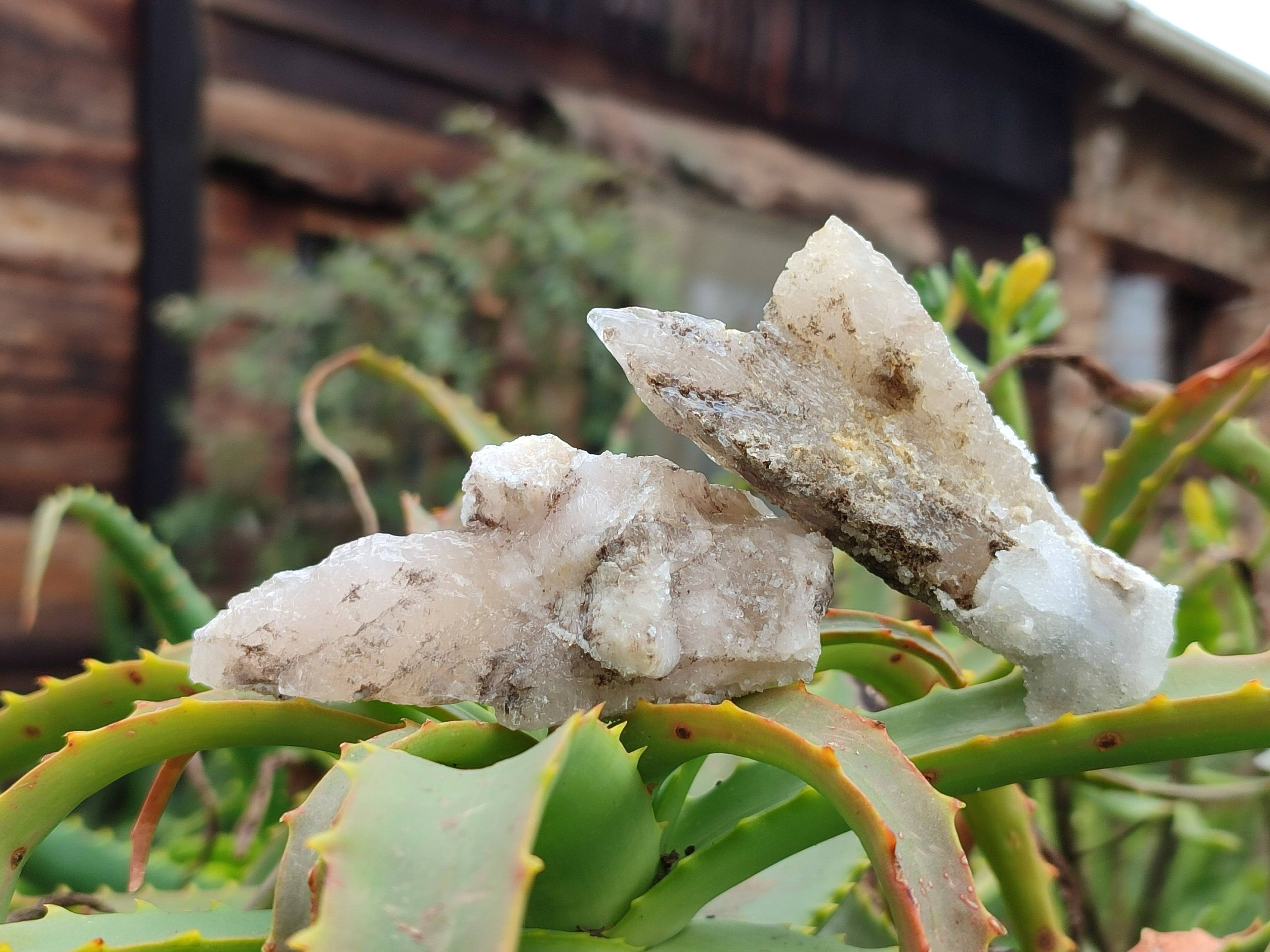 Natural Drusy Quartz Coated Calcite Pseudomorph Specimens x 12 From Alberts Mountain, Lesotho - Toprock Gemstones and Minerals 