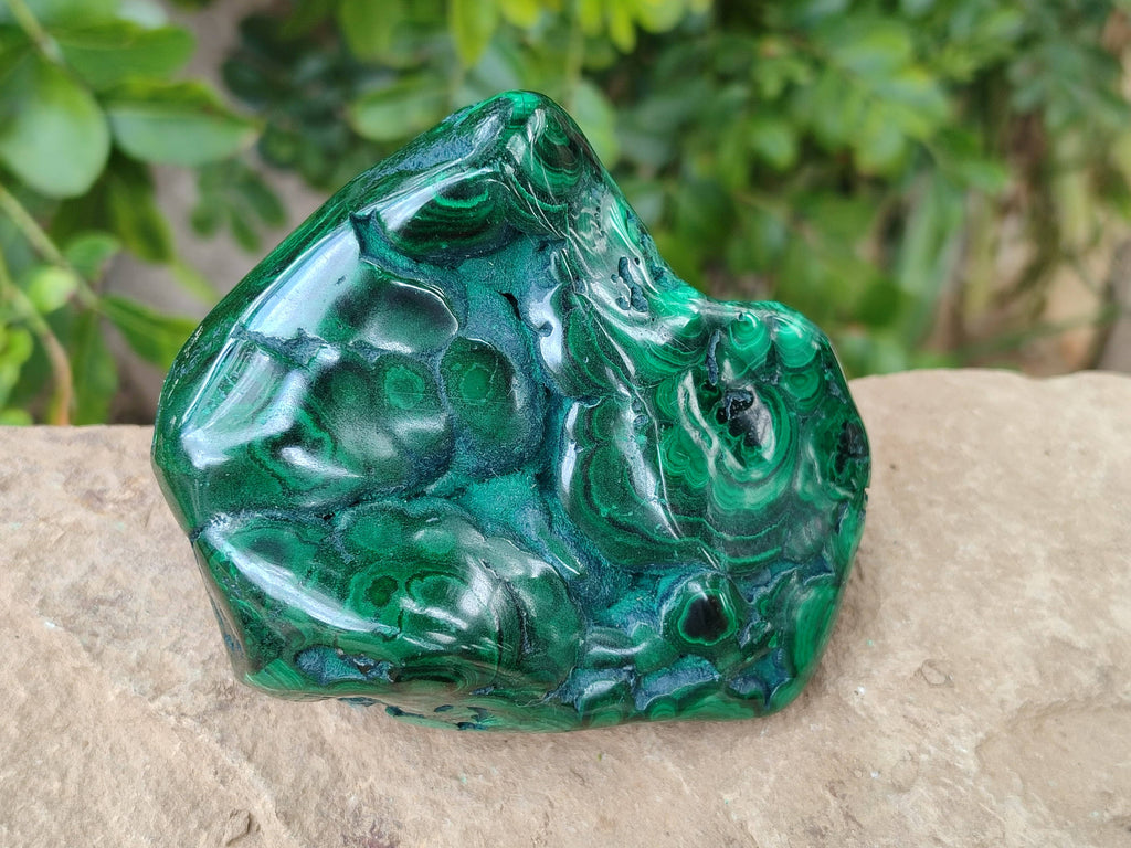 Polished Ring and Banded Malachite Free Forms x 2 From Congo - Toprock Gemstones and Minerals 