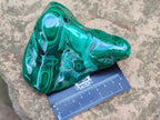Polished Ring and Banded Malachite Free Forms x 2 From Congo - Toprock Gemstones and Minerals 