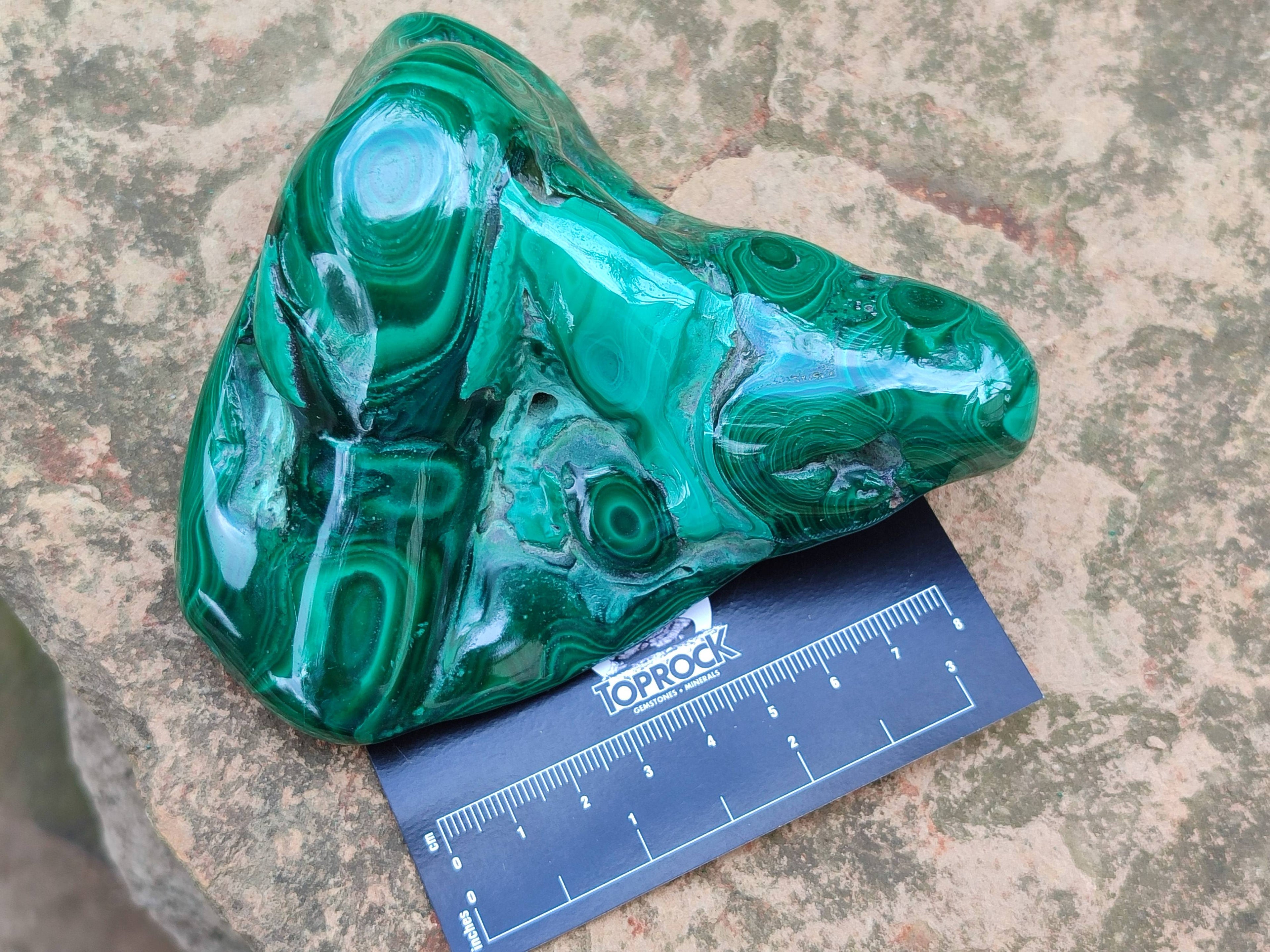 Polished Ring and Banded Malachite Free Forms x 2 From Congo - Toprock Gemstones and Minerals 