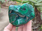 Polished Ring and Banded Malachite Free Forms x 2 From Congo - Toprock Gemstones and Minerals 