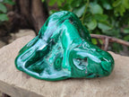 Polished Ring and Banded Malachite Free Forms x 2 From Congo - Toprock Gemstones and Minerals 