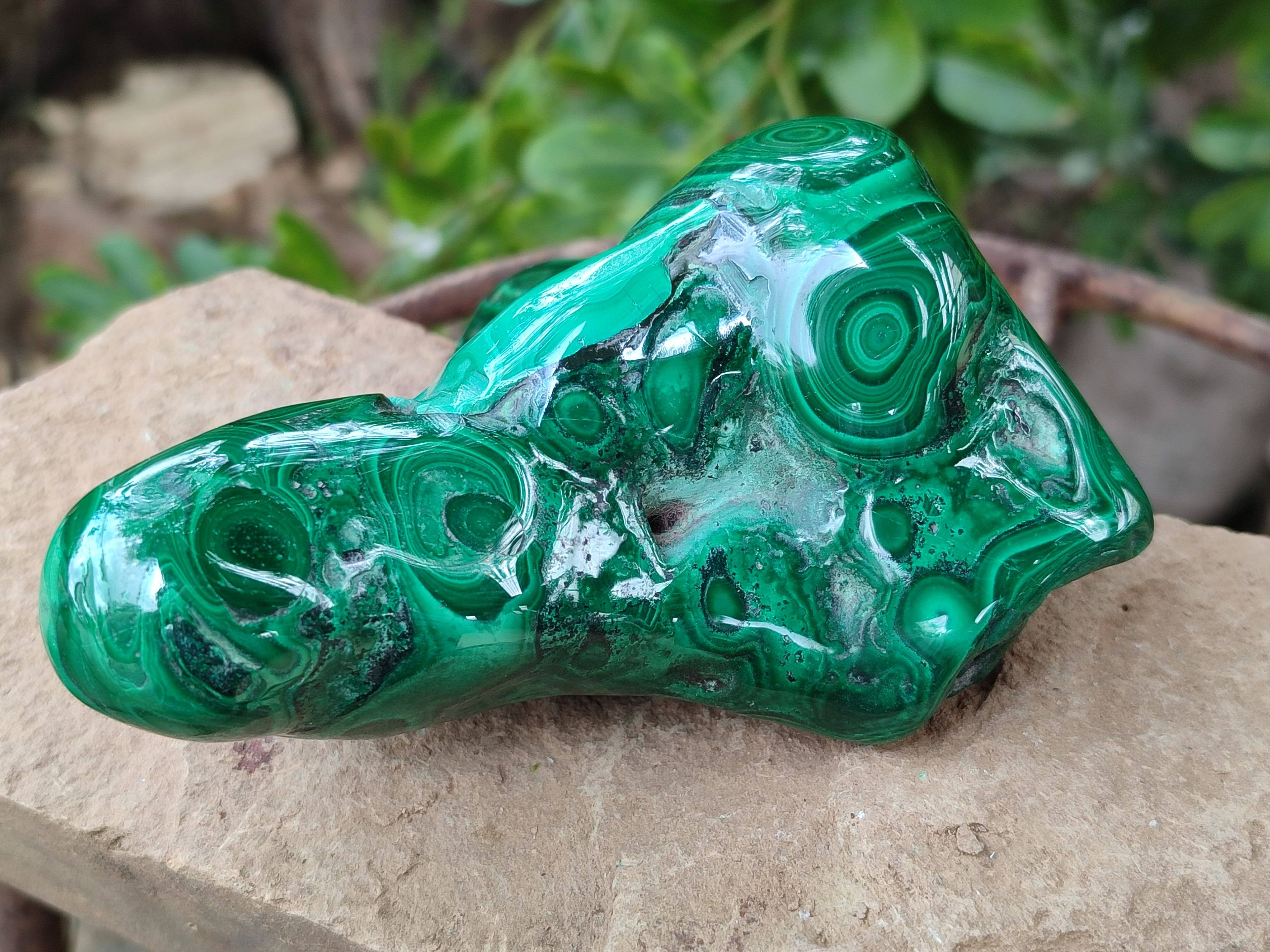 Polished Ring and Banded Malachite Free Forms x 2 From Congo - Toprock Gemstones and Minerals 
