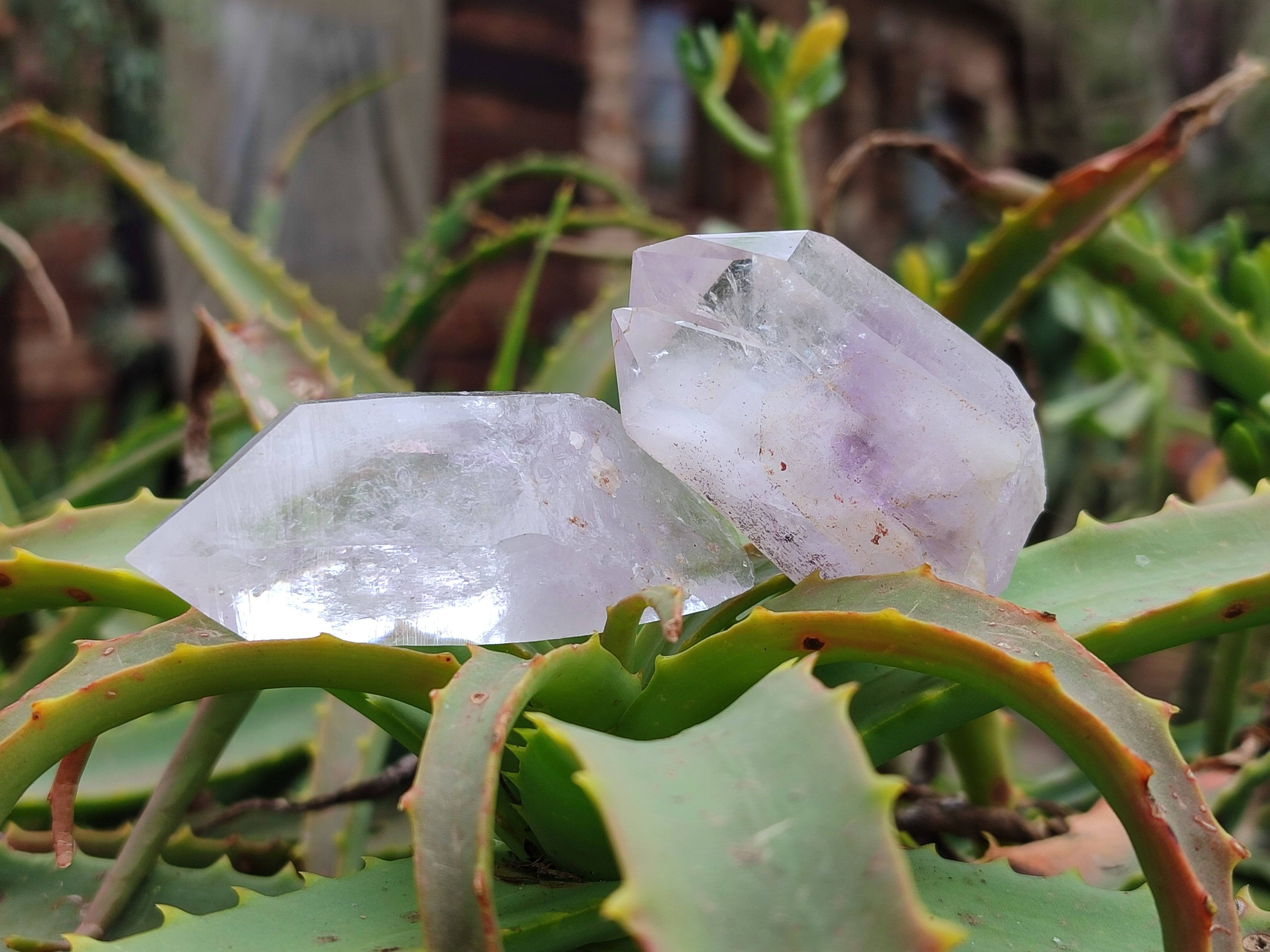Natural Brandberg Quartz Matrix Crystals x 12 From Brandberg, Namibia - Toprock Gemstones and Minerals 