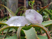 Natural Brandberg Quartz Matrix Crystals x 12 From Brandberg, Namibia - Toprock Gemstones and Minerals 