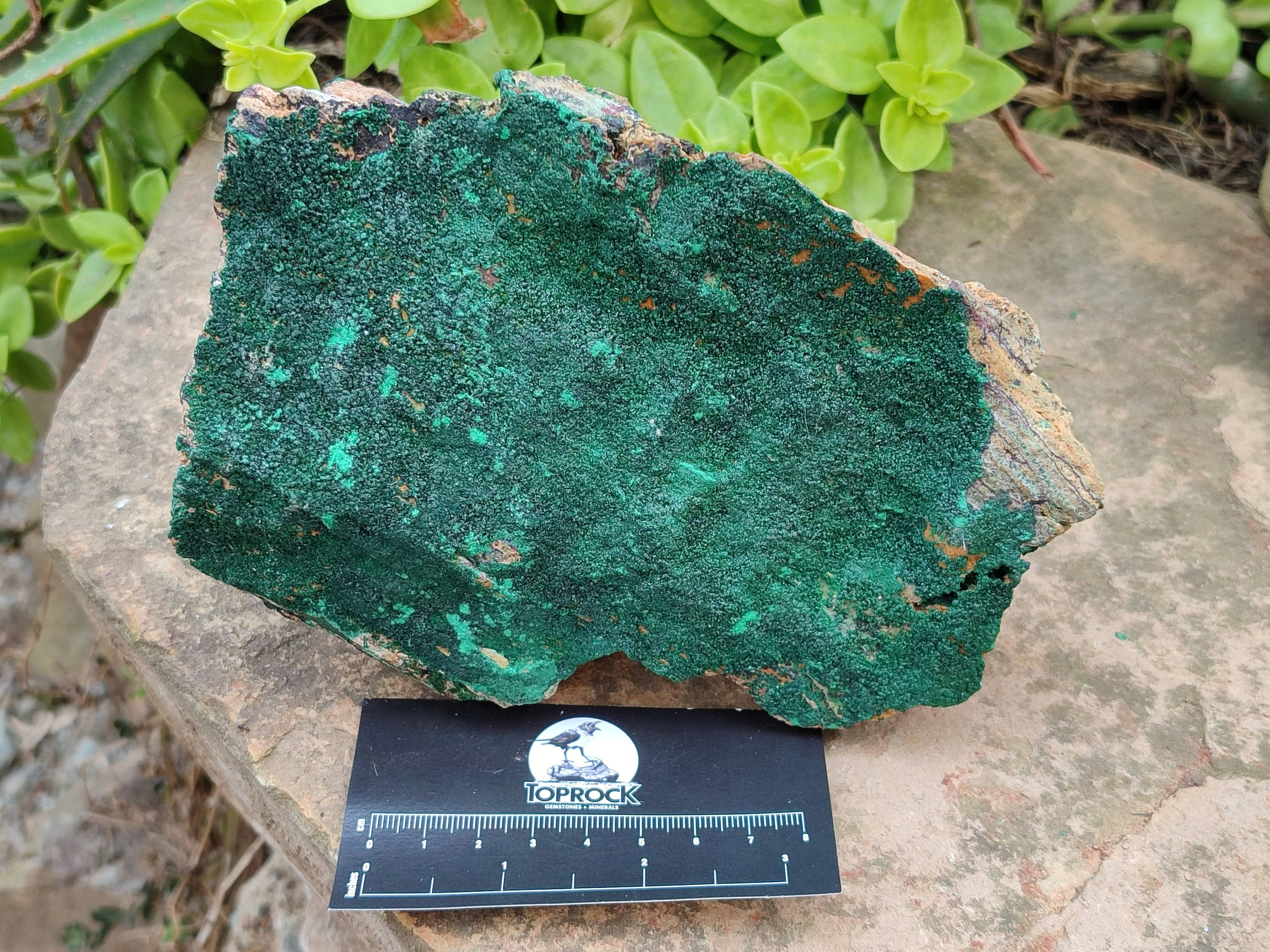 Natural Botryoidal Malachite Specimens x 2 From Congo - Toprock Gemstones and Minerals 