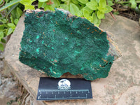 Natural Botryoidal Malachite Specimens x 2 From Congo - Toprock Gemstones and Minerals 
