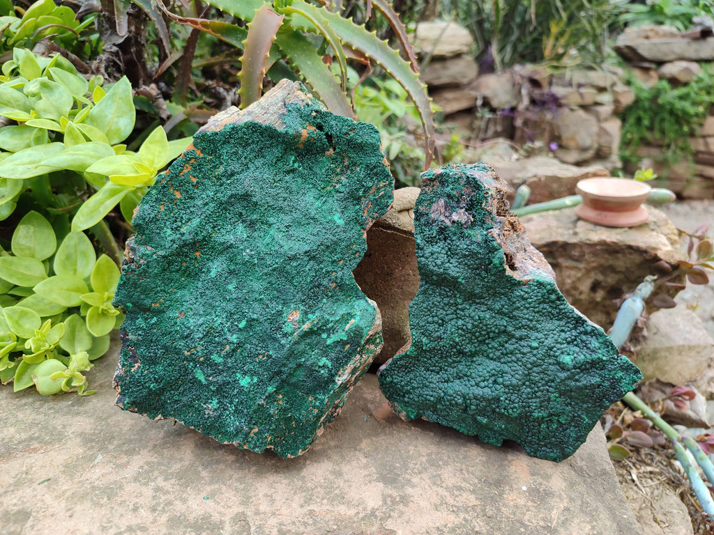 Natural Botryoidal Malachite Specimens x 2 From Congo - Toprock Gemstones and Minerals 
