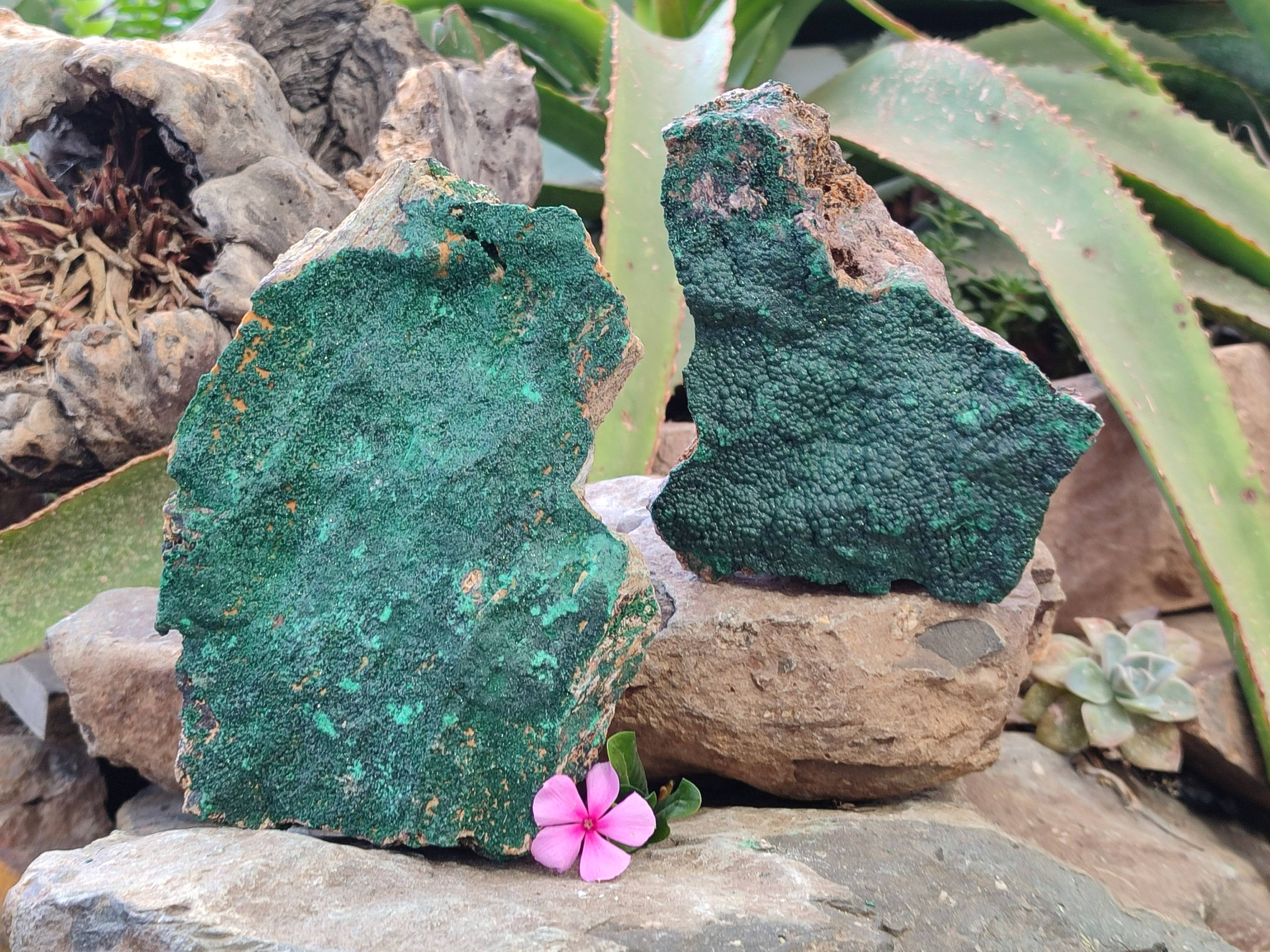 Natural Botryoidal Malachite Specimens x 2 From Congo - Toprock Gemstones and Minerals 