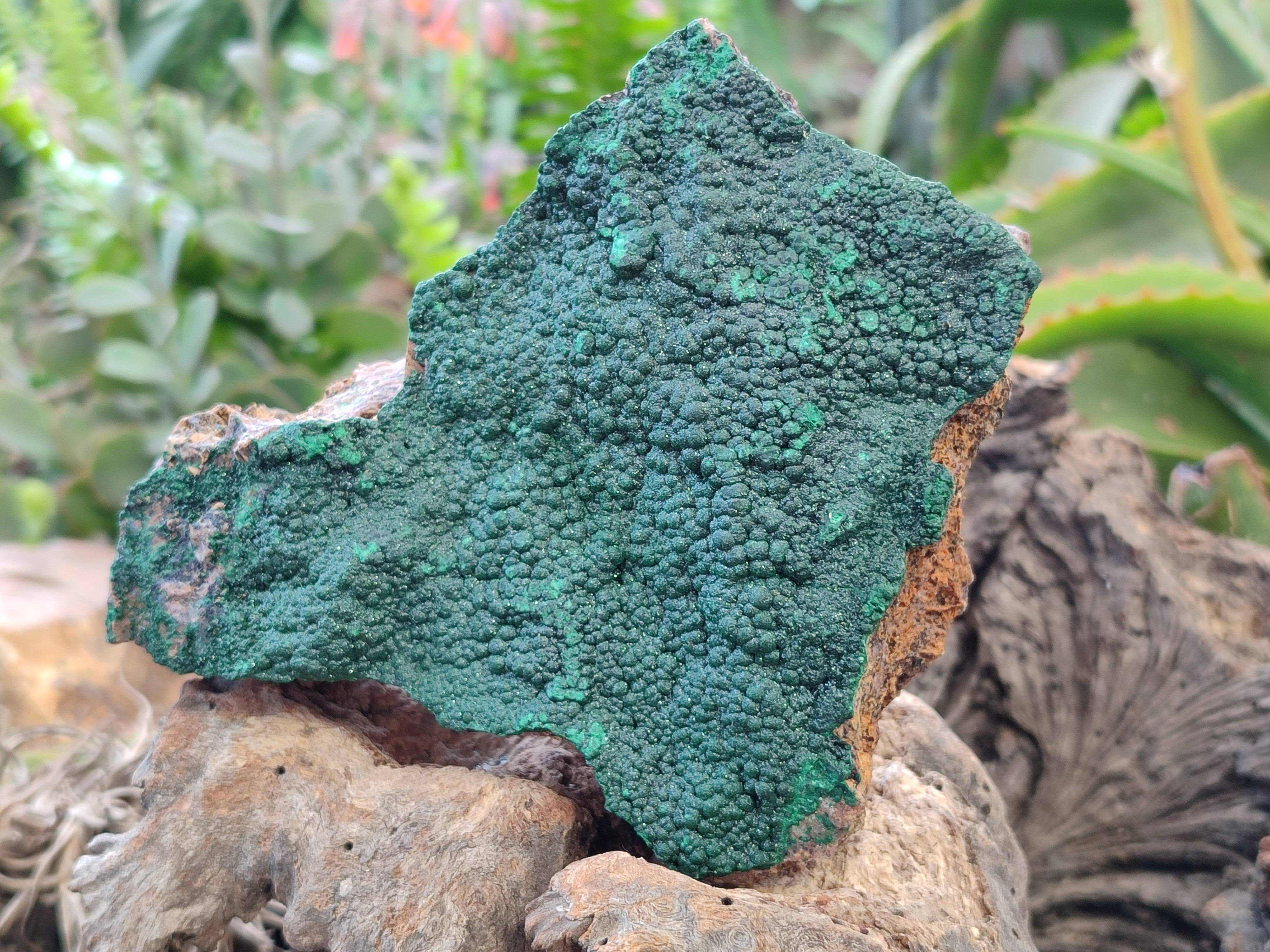 Natural Botryoidal Malachite Specimens x 2 From Congo – Toprock ...