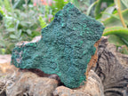 Natural Botryoidal Malachite Specimens x 2 From Congo - Toprock Gemstones and Minerals 