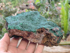 Natural Botryoidal Malachite Specimens x 2 From Congo - Toprock Gemstones and Minerals 