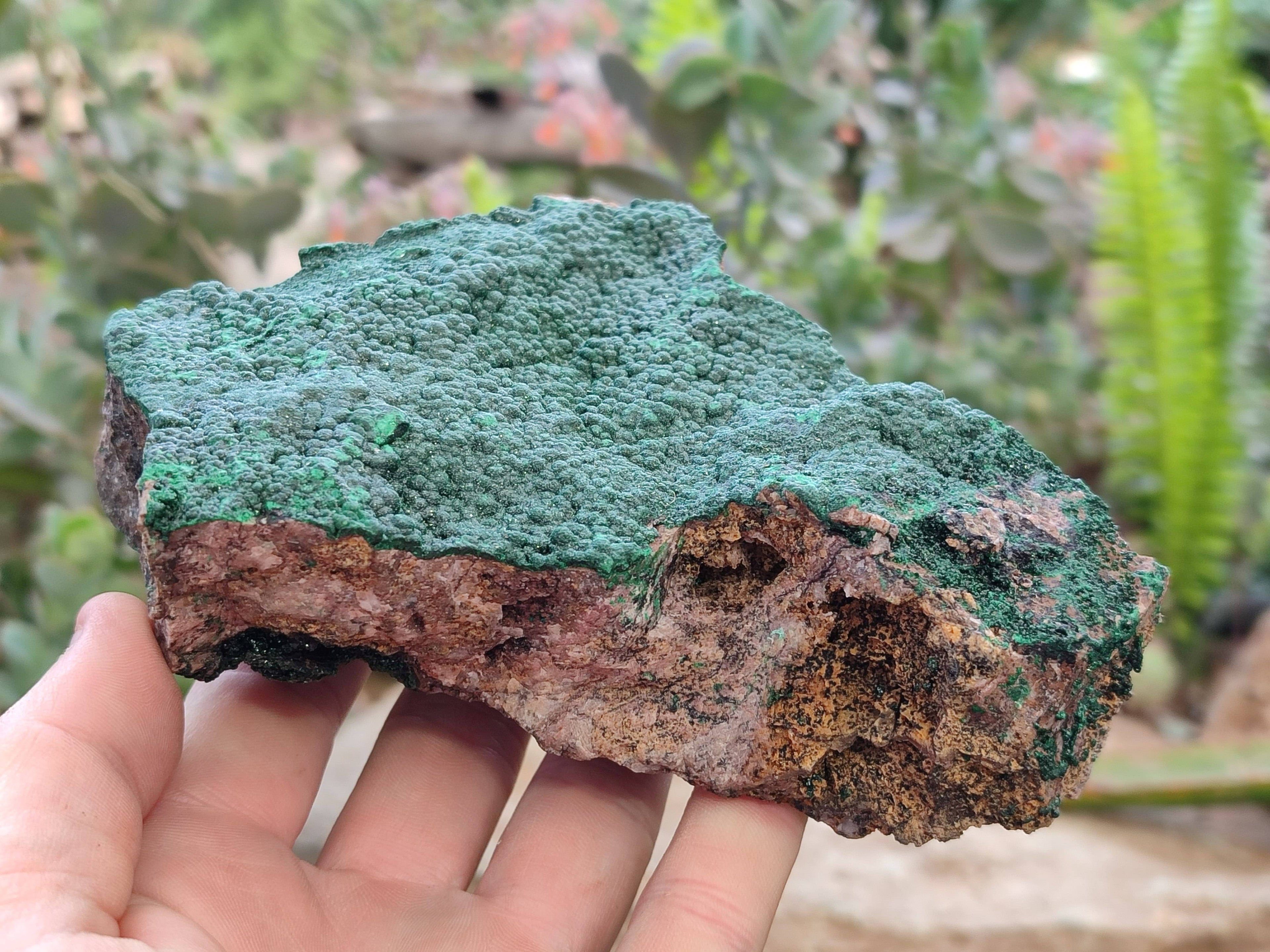 Natural Botryoidal Malachite Specimens x 2 From Congo - Toprock Gemstones and Minerals 