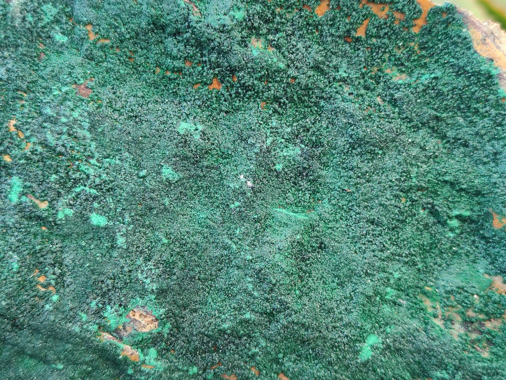 Natural Botryoidal Malachite Specimens x 2 From Congo - Toprock Gemstones and Minerals 