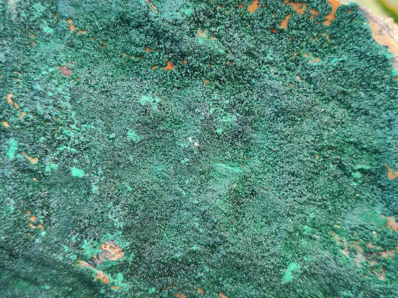 files/172157_6.jpg