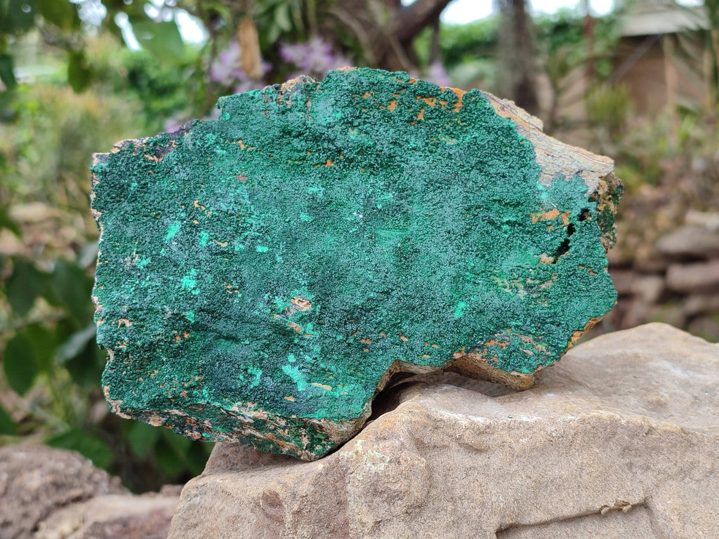 Natural Botryoidal Malachite Specimens x 2 From Congo - Toprock Gemstones and Minerals 
