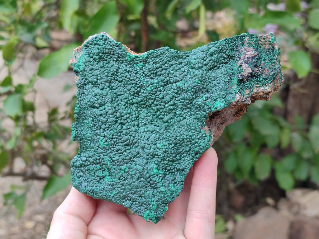 Natural Botryoidal Malachite Specimens x 2 From Congo - Toprock Gemstones and Minerals 