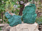 Natural Botryoidal Malachite Specimens x 2 From Congo - Toprock Gemstones and Minerals 