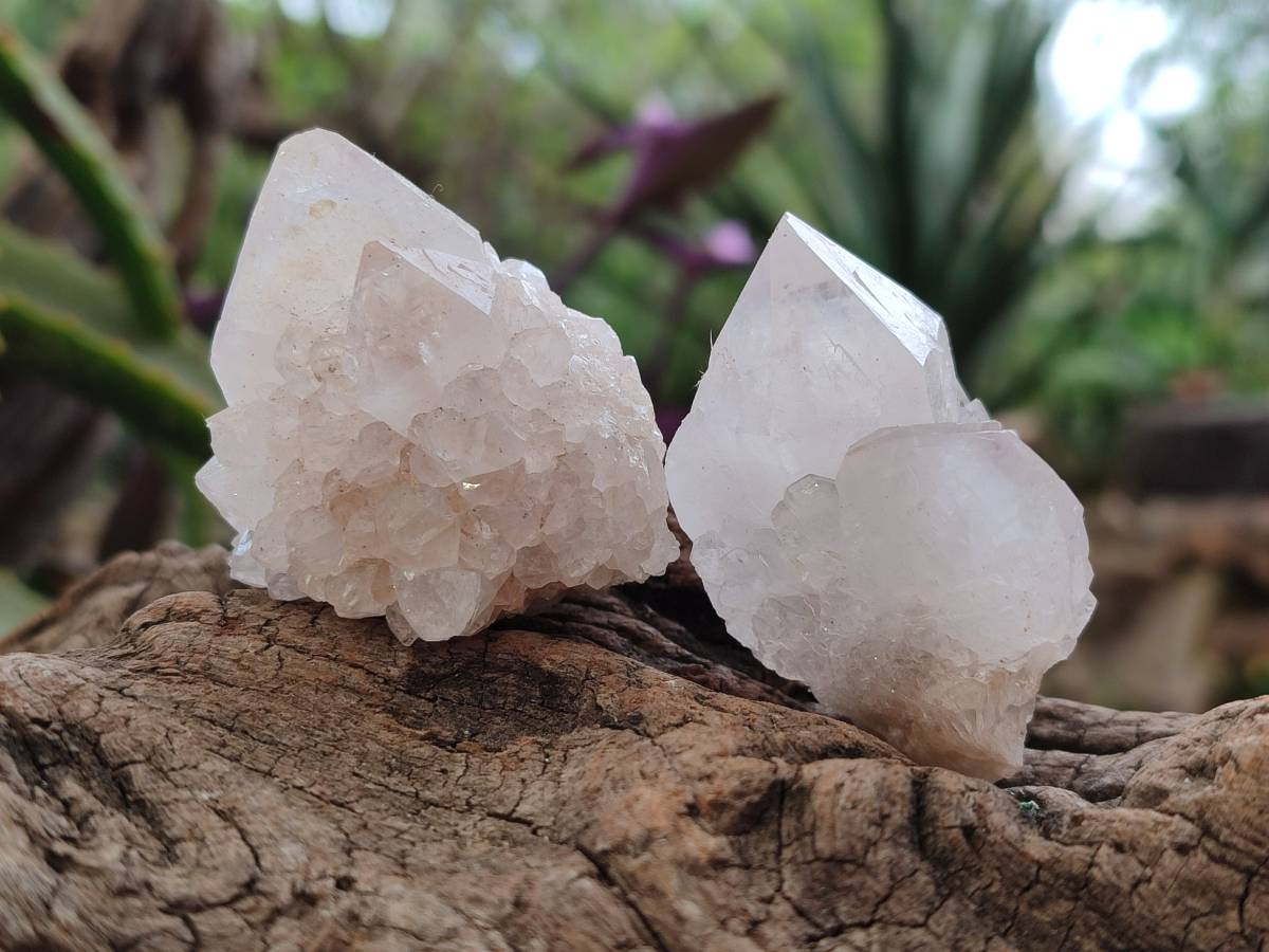 Natural Amethyst Spirit Quartz Clusters x 20 From Boekenhouthoek, South Africa - Toprock Gemstones and Minerals 