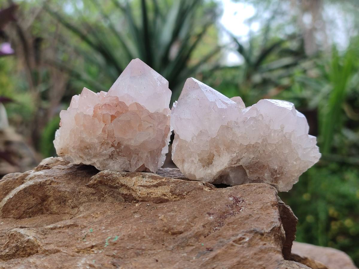Natural Amethyst Spirit Quartz Clusters x 20 From Boekenhouthoek, South Africa - Toprock Gemstones and Minerals 