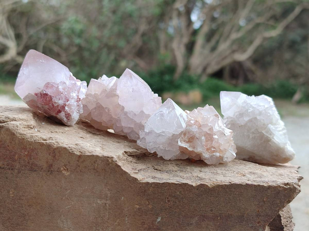 Natural Amethyst Spirit Quartz Clusters x 20 From Boekenhouthoek, South Africa - Toprock Gemstones and Minerals 