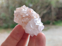 Natural Amethyst Spirit Quartz Clusters x 20 From Boekenhouthoek, South Africa - Toprock Gemstones and Minerals 