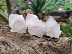 Natural Amethyst Spirit Quartz Clusters x 20 From Boekenhouthoek, South Africa - Toprock Gemstones and Minerals 