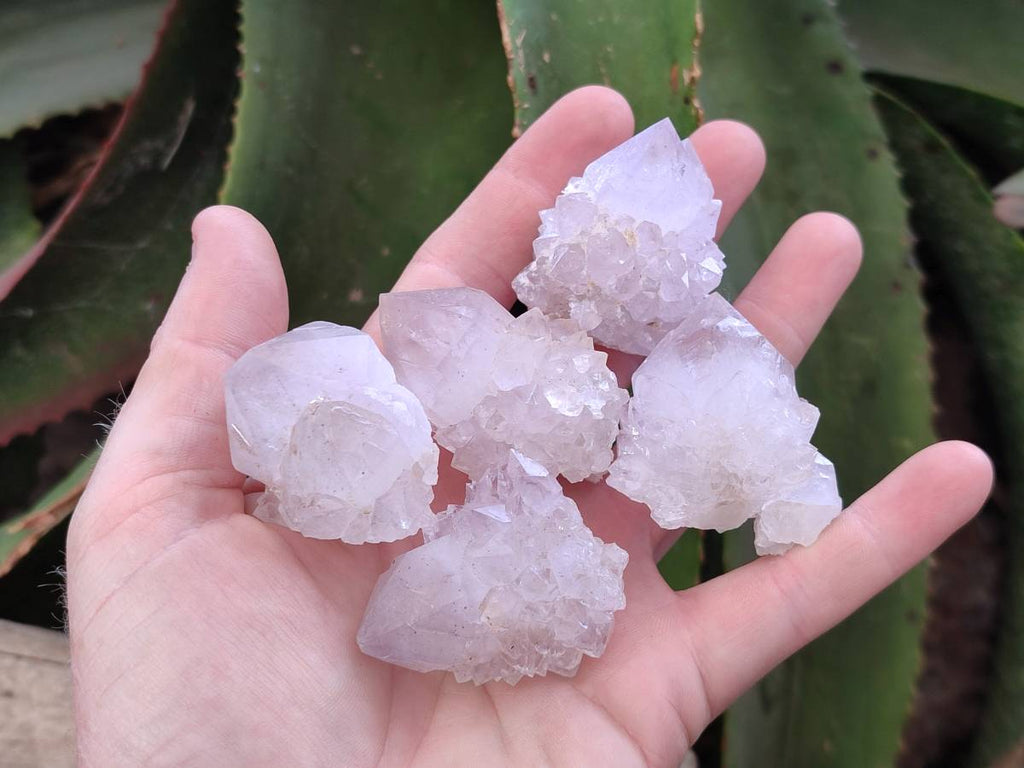 Natural Amethyst Spirit Quartz Clusters x 20 From Boekenhouthoek, South Africa - Toprock Gemstones and Minerals 