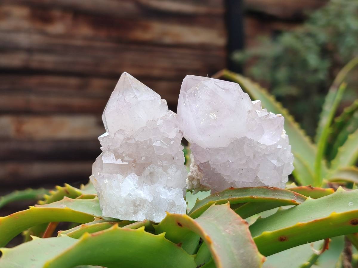 Natural Amethyst Spirit Quartz Clusters x 20 From Boekenhouthoek, South Africa - Toprock Gemstones and Minerals 