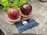 Polished Carnelian Agate Gemstone Spheres x 6 From Madagascar - Toprock Gemstones and Minerals 