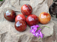 Polished Carnelian Agate Gemstone Spheres x 6 From Madagascar - Toprock Gemstones and Minerals 