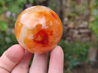 Polished Carnelian Agate Gemstone Spheres x 6 From Madagascar - Toprock Gemstones and Minerals 