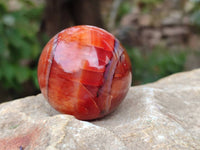 Polished Carnelian Agate Gemstone Spheres x 6 From Madagascar - Toprock Gemstones and Minerals 