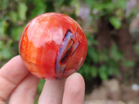 Polished Carnelian Agate Gemstone Spheres x 6 From Madagascar - Toprock Gemstones and Minerals 