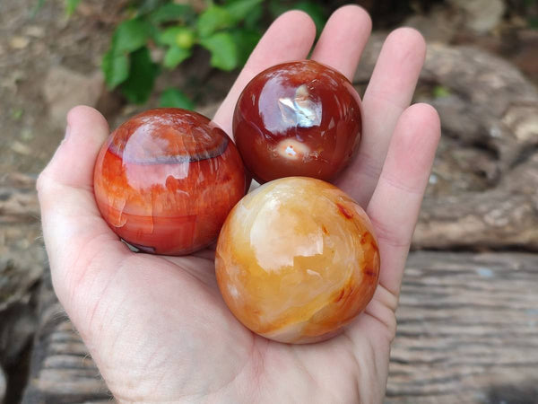 Polished Carnelian Agate Gemstone Spheres x 6 From Madagascar - Toprock Gemstones and Minerals 