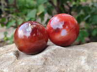 Polished Carnelian Agate Gemstone Spheres x 6 From Madagascar - Toprock Gemstones and Minerals 
