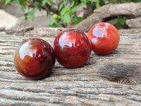 Polished Carnelian Agate Gemstone Spheres x 6 From Madagascar - Toprock Gemstones and Minerals 