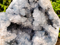 Natural Blue Celestite Specimen x 1 From Sakoany, Madagascar - Toprock Gemstones and Minerals 