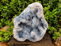 Natural Blue Celestite Specimen x 1 From Sakoany, Madagascar - Toprock Gemstones and Minerals 
