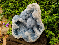 Natural Blue Celestite Specimen x 1 From Sakoany, Madagascar - Toprock Gemstones and Minerals 