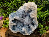 Natural Blue Celestite Specimen x 1 From Sakoany, Madagascar - Toprock Gemstones and Minerals 
