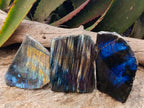 Polished Labradorite One Side Polished x 7 From Tulear, Madagascar - Toprock Gemstones and Minerals 