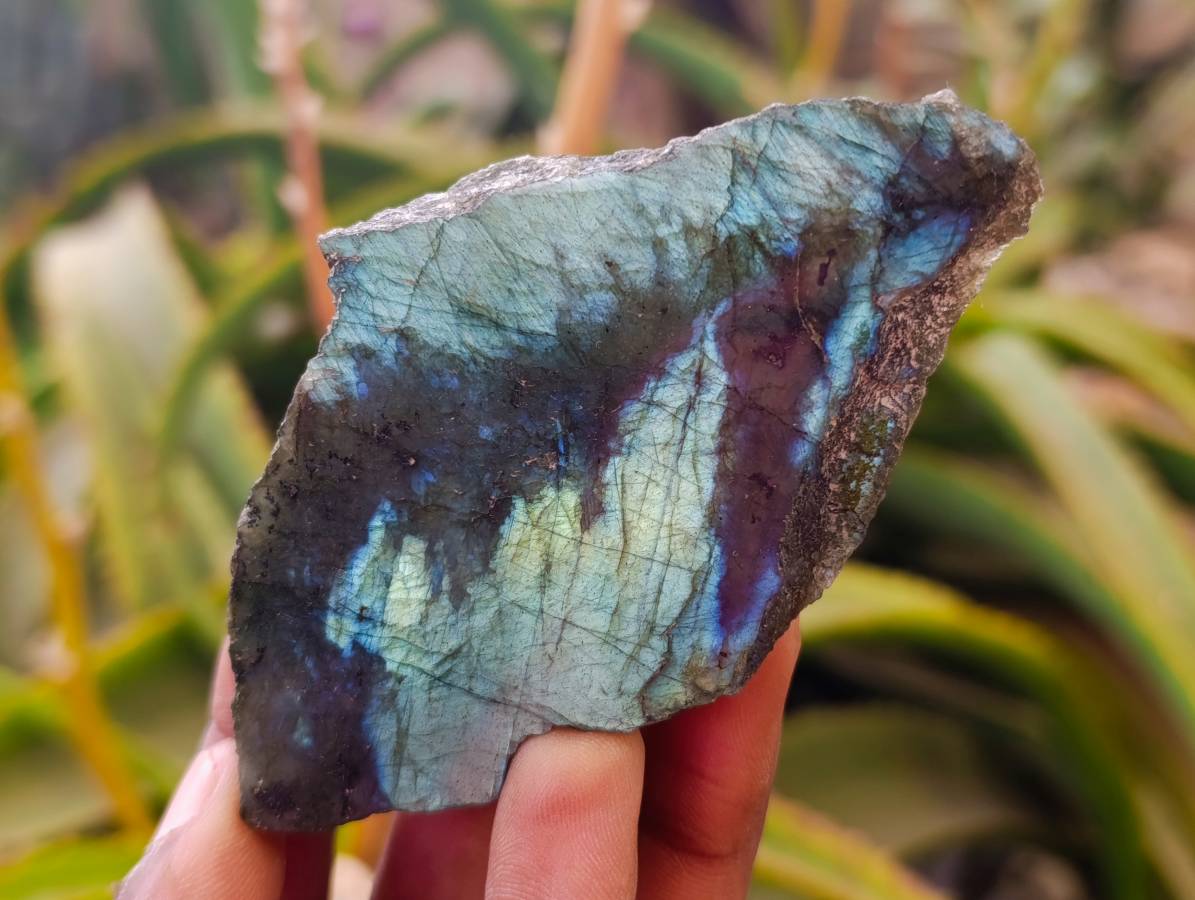 Polished Labradorite One Side Polished x 7 From Tulear, Madagascar - Toprock Gemstones and Minerals 