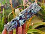 Polished Labradorite One Side Polished x 7 From Tulear, Madagascar - Toprock Gemstones and Minerals 