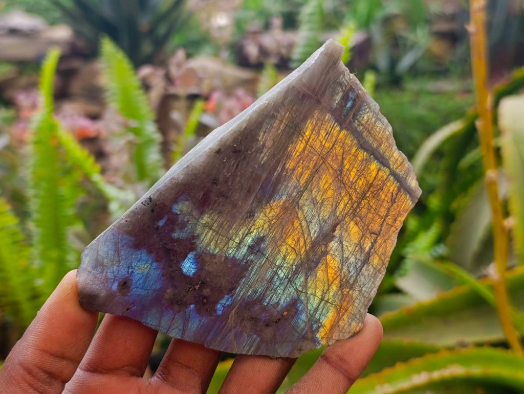 Polished Labradorite One Side Polished x 7 From Tulear, Madagascar - Toprock Gemstones and Minerals 