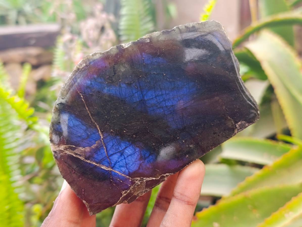 Polished Labradorite One Side Polished x 7 From Tulear, Madagascar - Toprock Gemstones and Minerals 